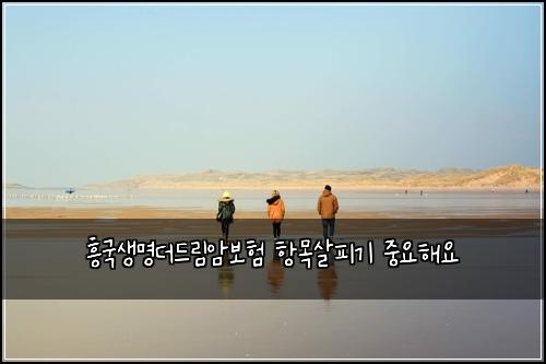 흥국생명더드림암보험 항목살피기  중요해요