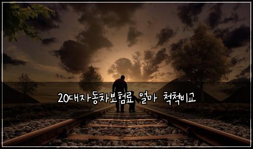 20๋์๋์ฐจ๋ณดํ๋ฃ ์ผ๋ง ์ฒ์ฒ๋น๊ต