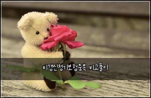 비갱신정기보험중복 비교풀이