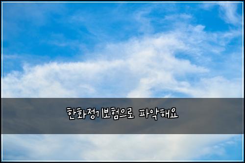 한화정기보험으로 파악해요