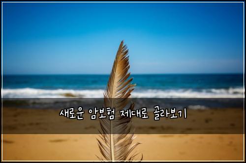 새로운 암보험 제대로 골라보기