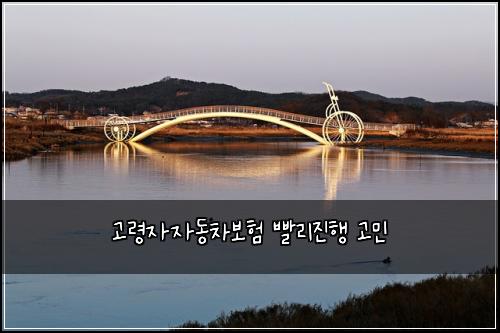 ๊ณ ๋ น์์๋์ฐจ๋ณดํ ๋นจ๋ฆฌ์งํ ๊ณ ๋ฏผ