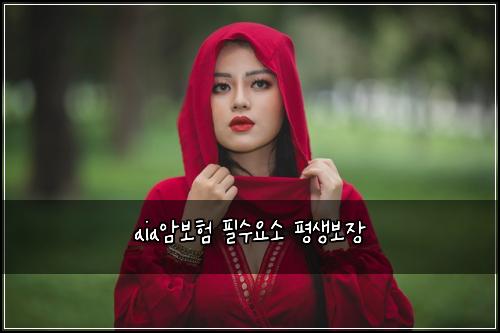 aia암보험 필수요소  평생보장