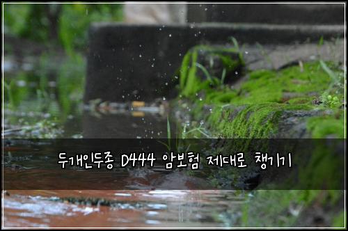 두개인두종 D444 암보험 제대로 챙기기