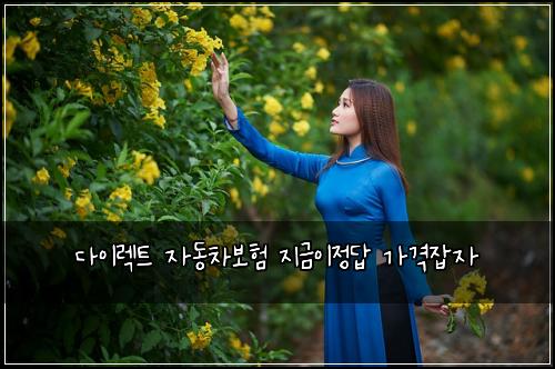 다이렉트 자동차보험 지금이정답  가격잡자