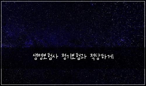 생명보험사 정기보험과 적당하게