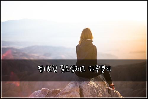정기보험 필요성체크  하루빨리
