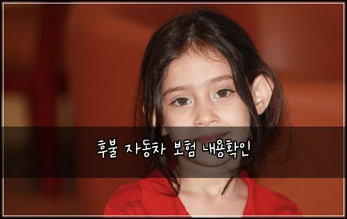 후불 자동차 보험 내용확인 