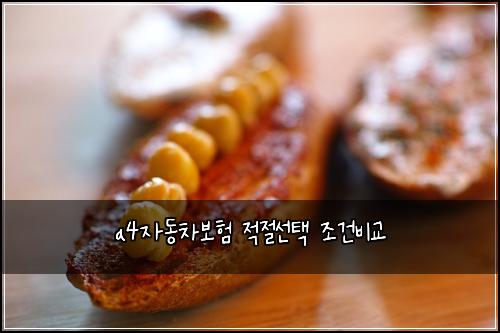 a4자동차보험 적절선택  조건비교