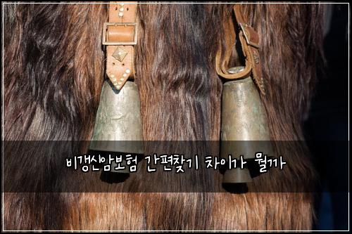 비갱신암보험 간편찾기  차이가 뭘까