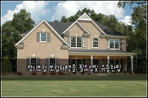 정기보험 보험혜택을  필요성및 유용한팁