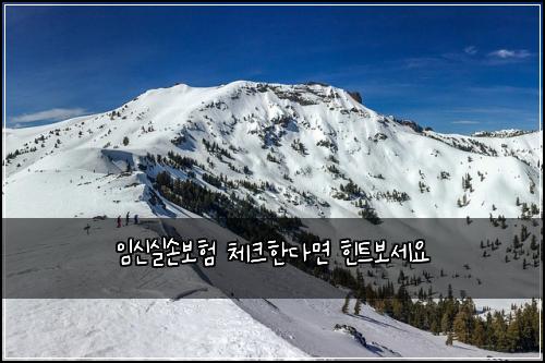 ์์ ์ค์๋ณดํ ์ฒดํฌํ๋ค๋ฉด ํํธ๋ณด์ธ์