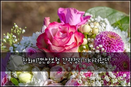 한화비갱신암보험 간략정리  기다려왔던