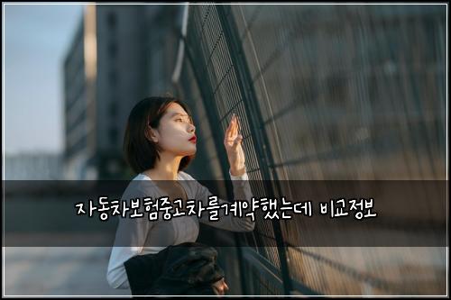 μλ차보νμ€κ³ μ°¨λ₯Όκ³μ½νλλ° λΉκ΅μ 보