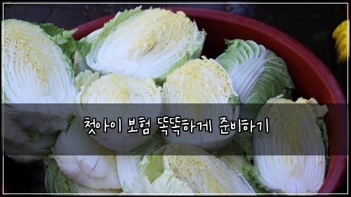 첫아이 보험 똑똑하게 준비하기