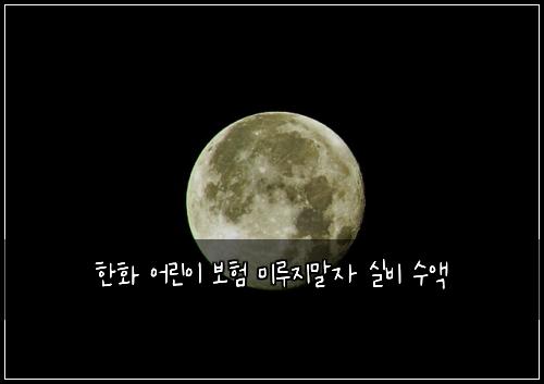 한화 어린이 보험 미루지말자  실비 수액