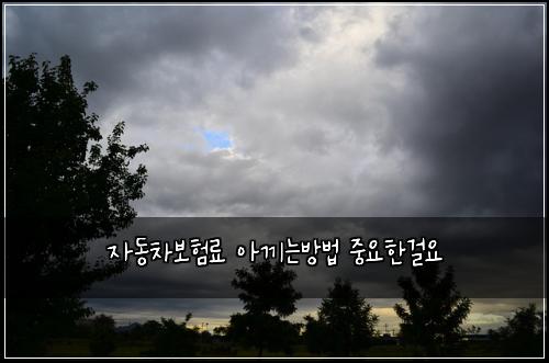 μλ차보νλ£ μλΌλλ°©λ² μ€μνκ±Έμ