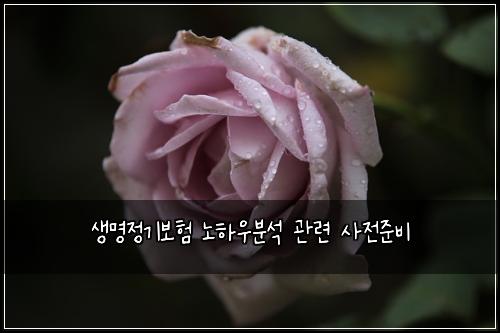 생명정기보험 노하우분석  관련 사전준비