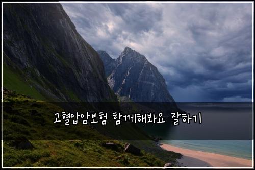 고혈압암보험 함께해봐요  잘하기