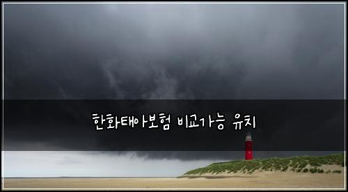 한화태아보험 비교가능  유치