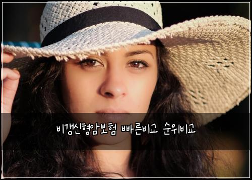 비갱신형암보험 빠른비교  순위비교