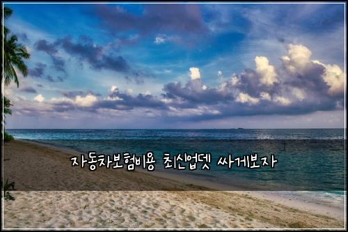 ์๋์ฐจ๋ณดํ๋น์ฉ ์ต์ ์
๋ ์ธ๊ฒ๋ณด์
