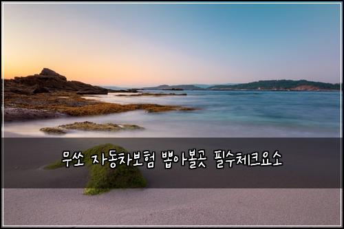 ๋ฌด์ ์๋์ฐจ๋ณดํ ๋ฝ์๋ณผ๊ณณ ํ์์ฒดํฌ์์