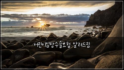어린이심장수술보험 알려드림 