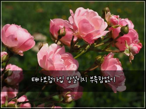 ํ์๋ณดํ๊ฐ์
๋ง์ค์ด์ง ๋ถ์กฑํจ์์ด