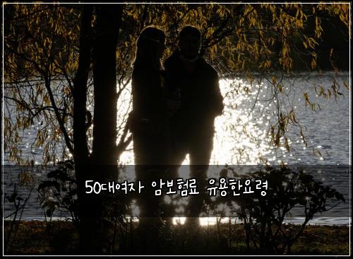 50대여자 암보험료 유용한요령