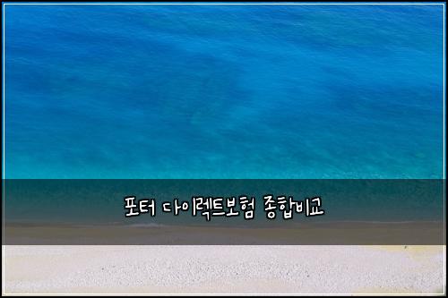 ํฌํฐ ๋ค์ด๋ ํธ๋ณดํ ์ข
ํฉ๋น๊ต