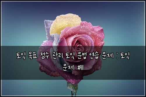 토익 목표 점수 관리 토익 문법 연습 문제 : 토익 문제 #11