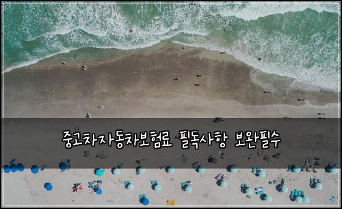 중고차자동차보험료 필독사항 보완필수