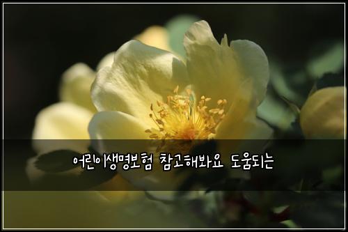 어린이생명보험 참고해봐요  도움되는
