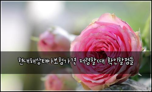 ํ๋ํด์ํ์๋ณดํ๊ฐ๊ฒฉ ์ ๋ ดํ ๋ ํ์ธํ ์ ๋ค