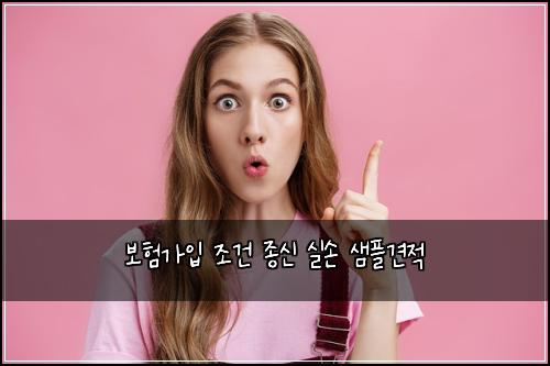 보험가입 조건 종신 실손 샘플견적