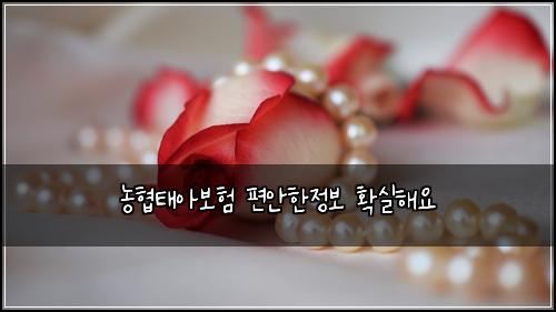 농협태아보험 편안한정보  확실해요