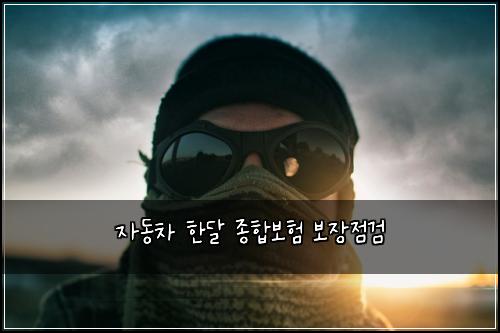 자동차 한달 종합보험 보장점검 