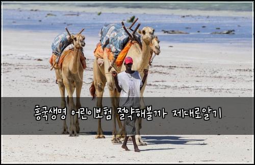 흥국생명 어린이보험 절약해볼까  제대로알기