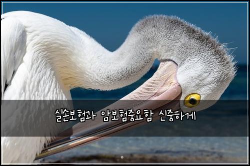 ์ค์๋ณดํ๊ณผ ์๋ณดํ์ค์ํจ ์ ์คํ๊ฒ