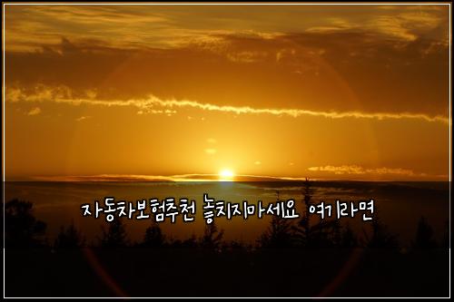 ์๋์ฐจ๋ณดํ์ถ์ฒ ๋์น์ง๋ง์ธ์ ์ฌ๊ธฐ๋ผ๋ฉด