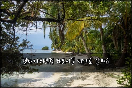 경차자차보험 해보시길  제대로 살펴요