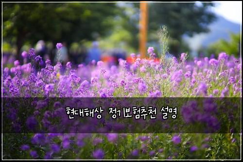 ํ๋ํด์ ์ ๊ธฐ๋ณดํ์ถ์ฒ ์ค๋ช