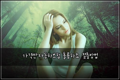 가격싼자동차보험 훌륭하죠  절충방법