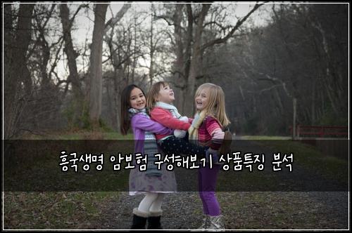 흥국생명 암보험 구성해보기  상품특징 분석