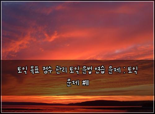 토익 목표 점수 관리 토익 문법 연습 문제 : 토익 문제 #11