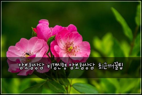 암보험상담 비갱신형 암보험상담 최근꺼꿀팁