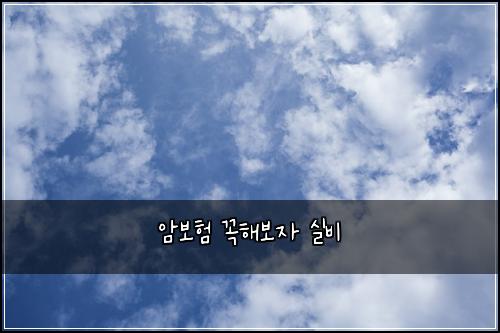 암보험 꼭해보자  실비