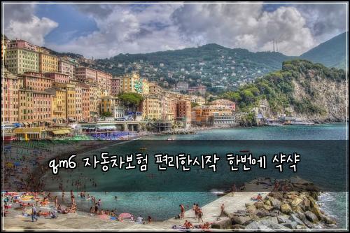 qm6 자동차보험 편리한시작  한번에 샥샥