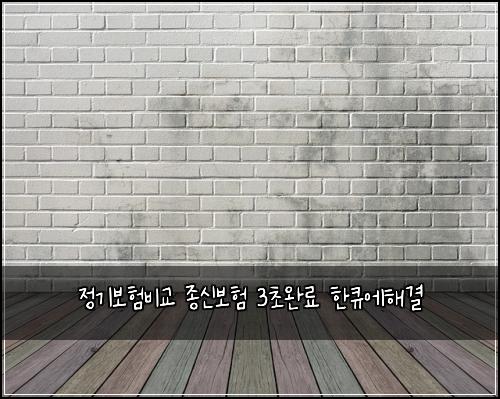 정기보험비교 종신보험 3초완료 한큐에해결